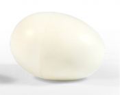 PLASTIC NEST EGG