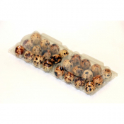 12 QUAIL EGG BOX (25PK)