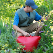 GORILLA TUB® 26L RED