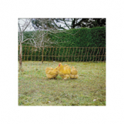 POULTRY NETTING ORANGE 50M