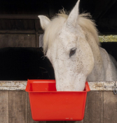 GORILLA PLAS® MANGER RED